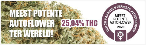 most-potent-voor-op-productpagina-image-NL.jpg